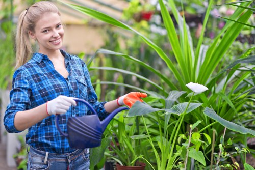 Secure Tree Surgeons Edmonton payment process illustration