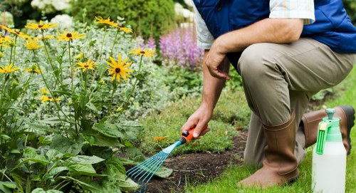 Urban tree care professional supporting healthy landscape growth in Edmonton