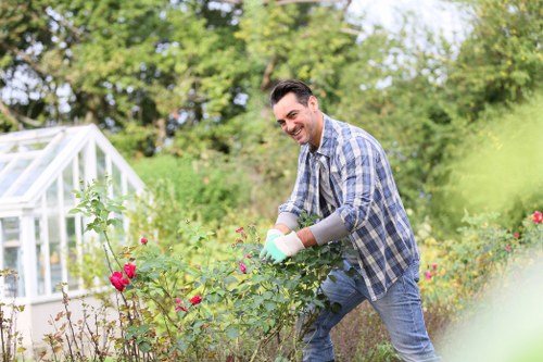 Professional hedge cutting for a residential Edmonton front yard