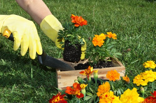 Tree removal planning near homes and fences in Edmonton