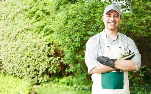 Customer service review for professional tree surgery work