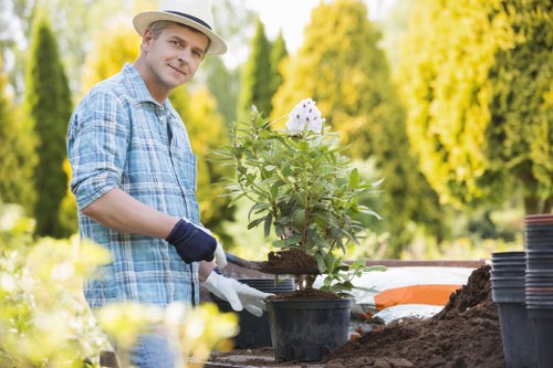 Local hedge trimming service for a townhouse and shared landscaping in Edmonton
