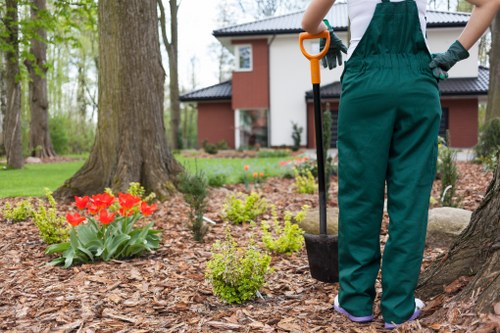 Safe and professional Edmonton tree surgery with insurance and planning